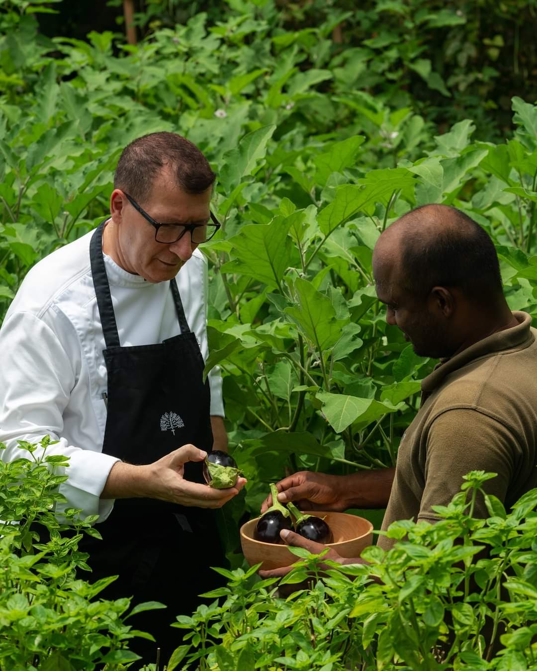 Organic Garden, Raffles Maldives