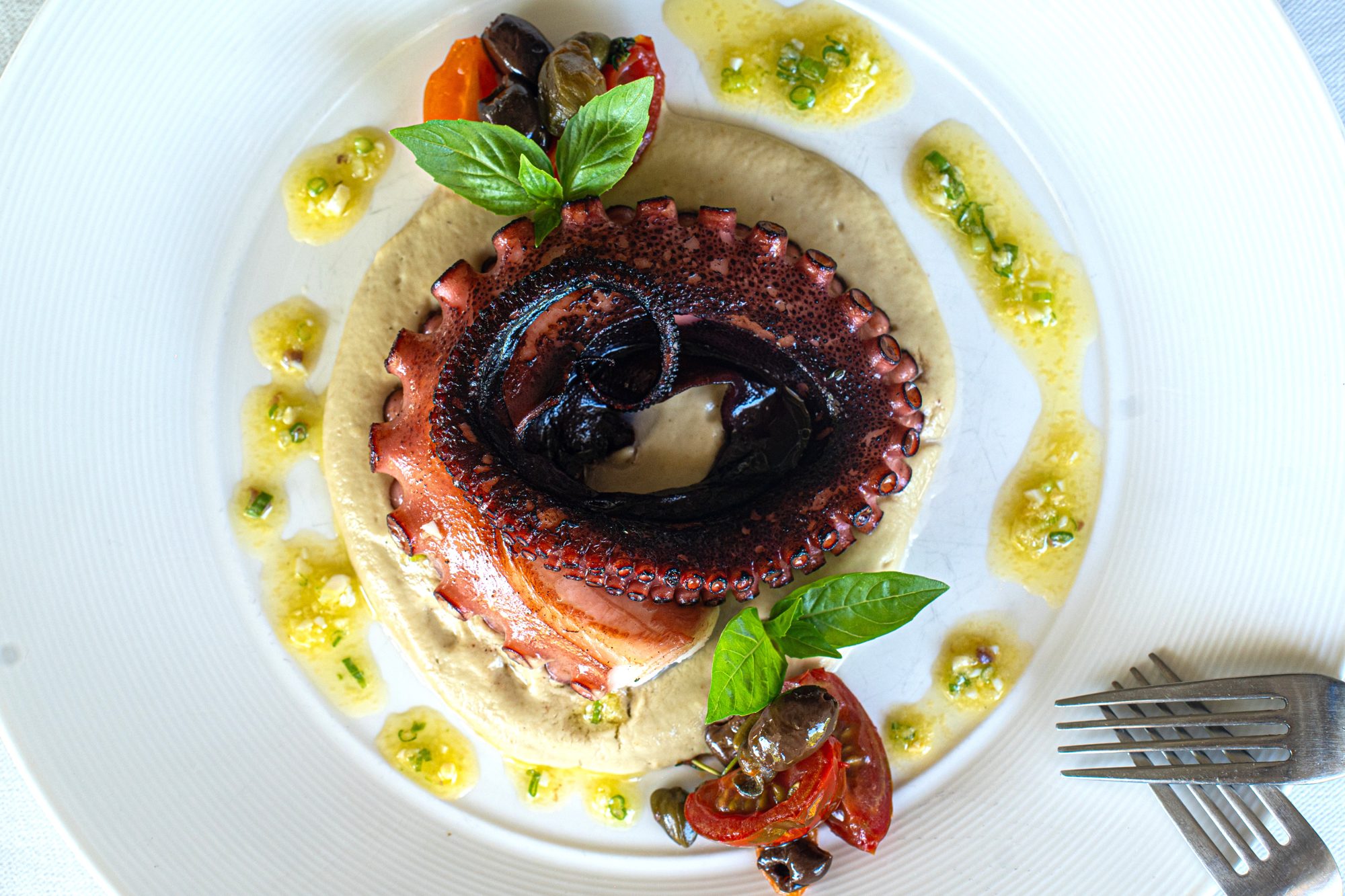 Embered Octopus