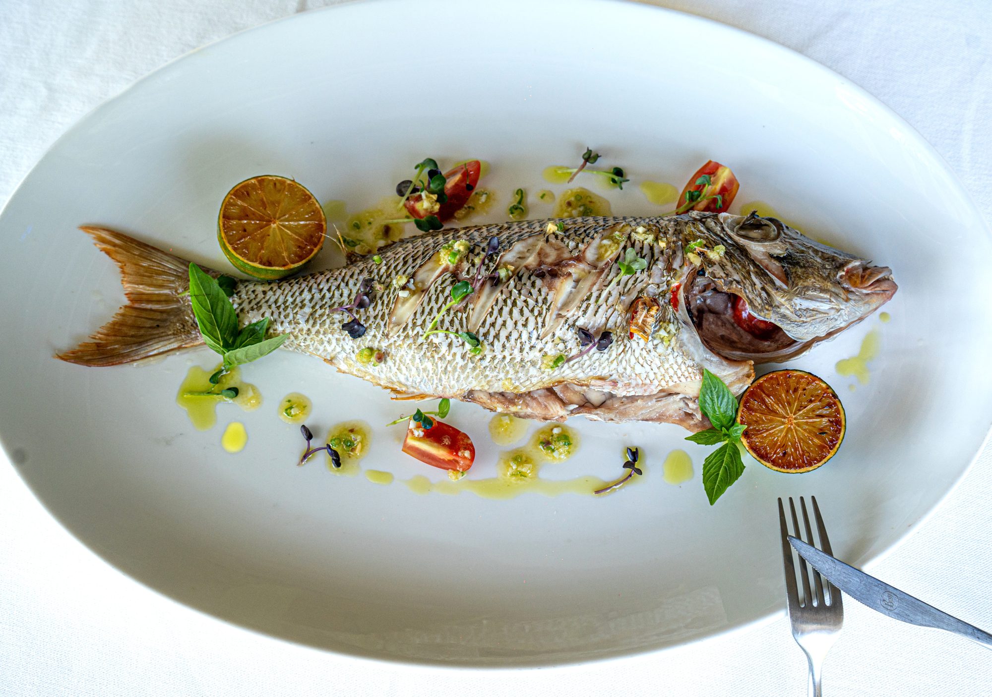 Citrus-Sea Bream